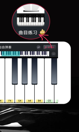 钢琴键盘截图1